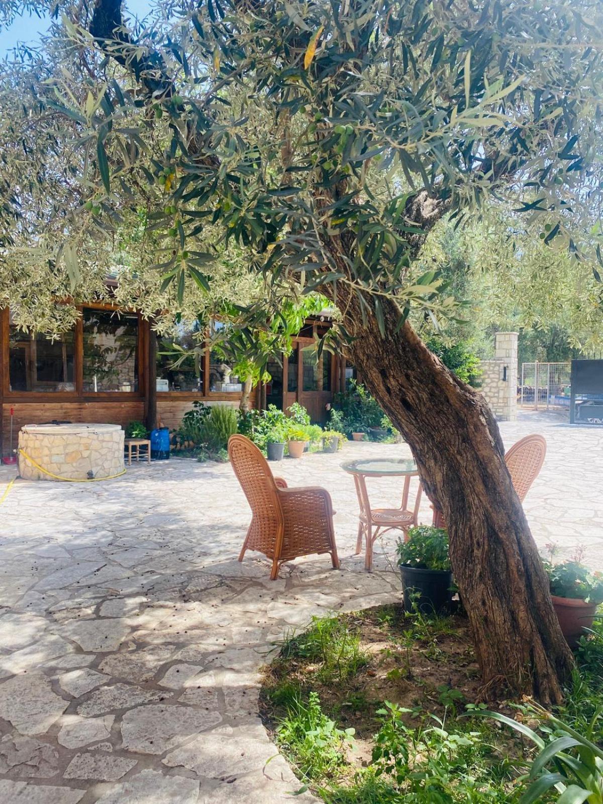 Irini'S Guesthouse Кепаро Екстериор снимка